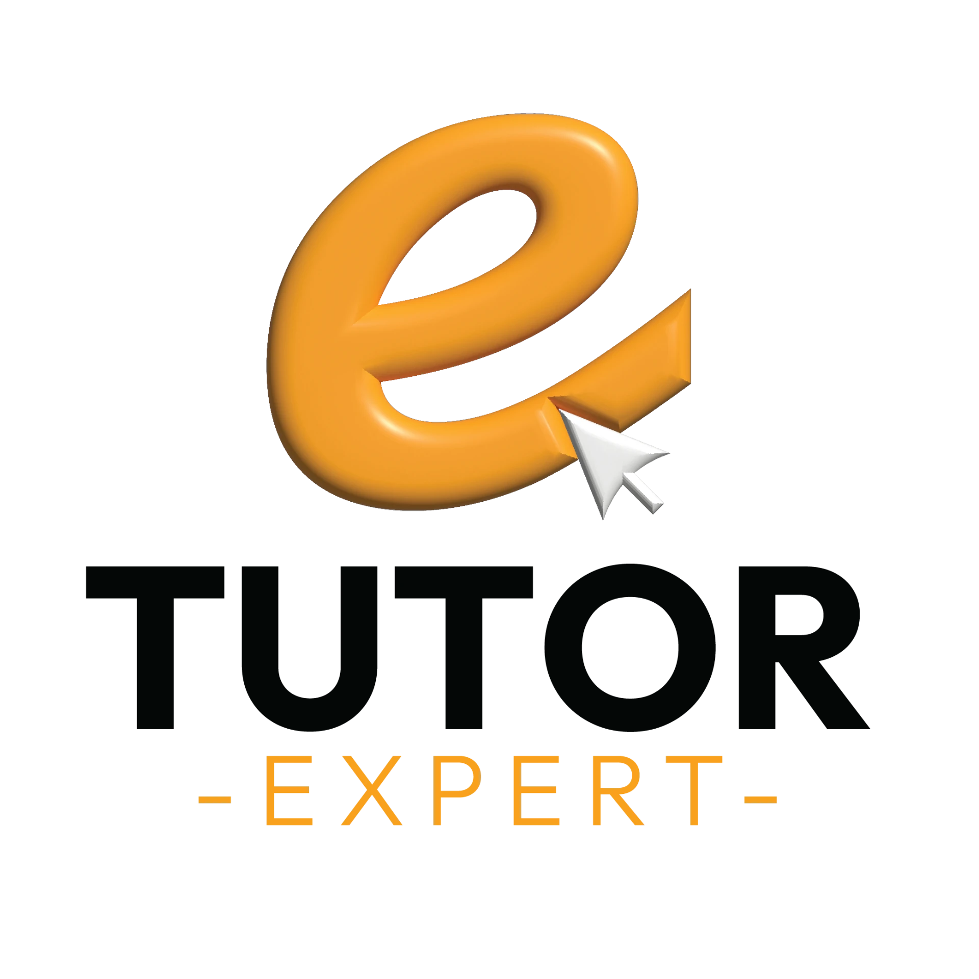 E Tutor Expert logo